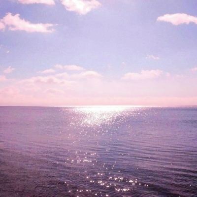 宝宝性别认知宝宝巴士下载